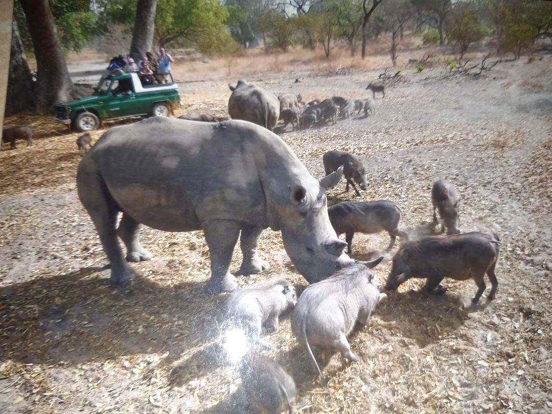 Premium Gambia Senegal Adventure